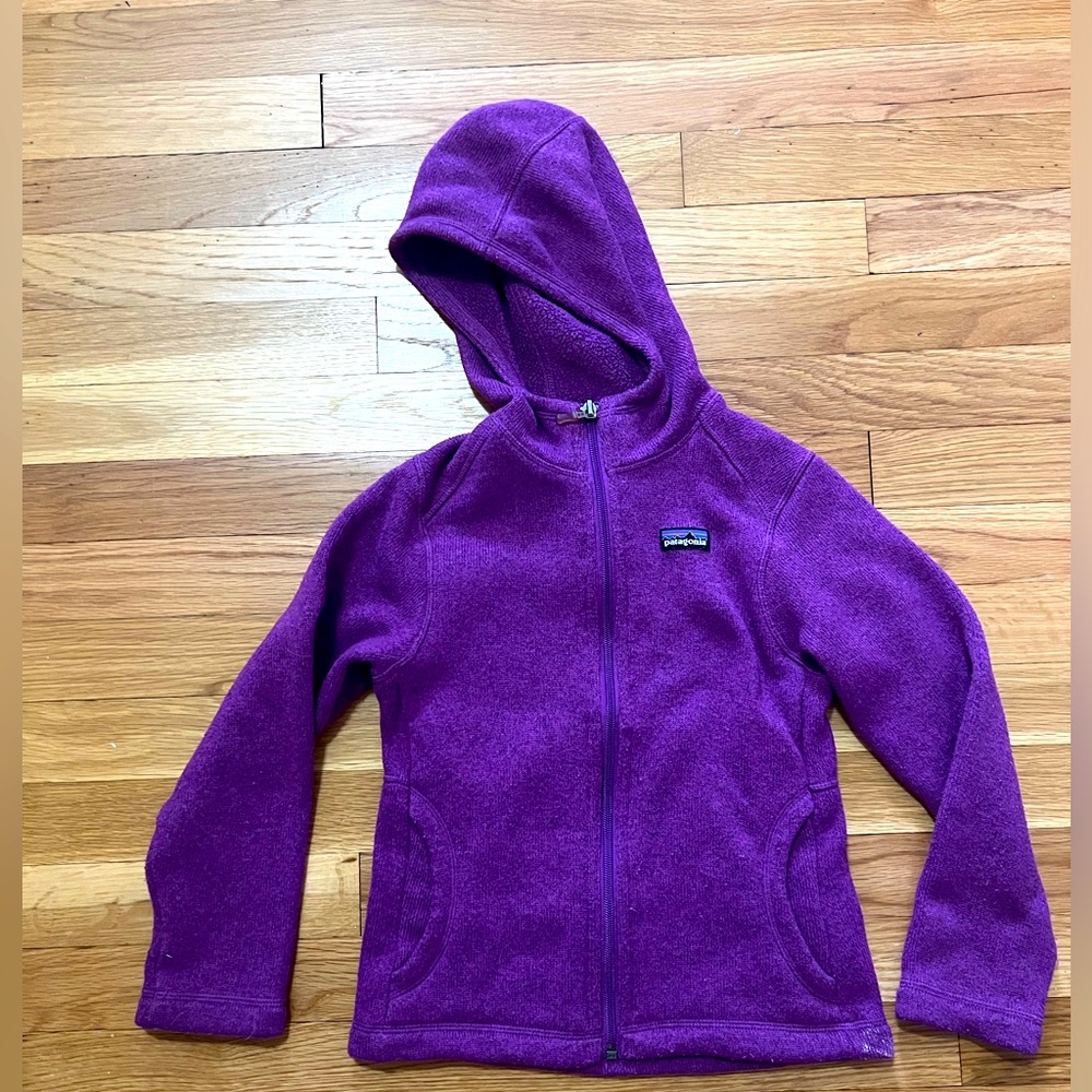 Patagonia Better Sweater Hoody